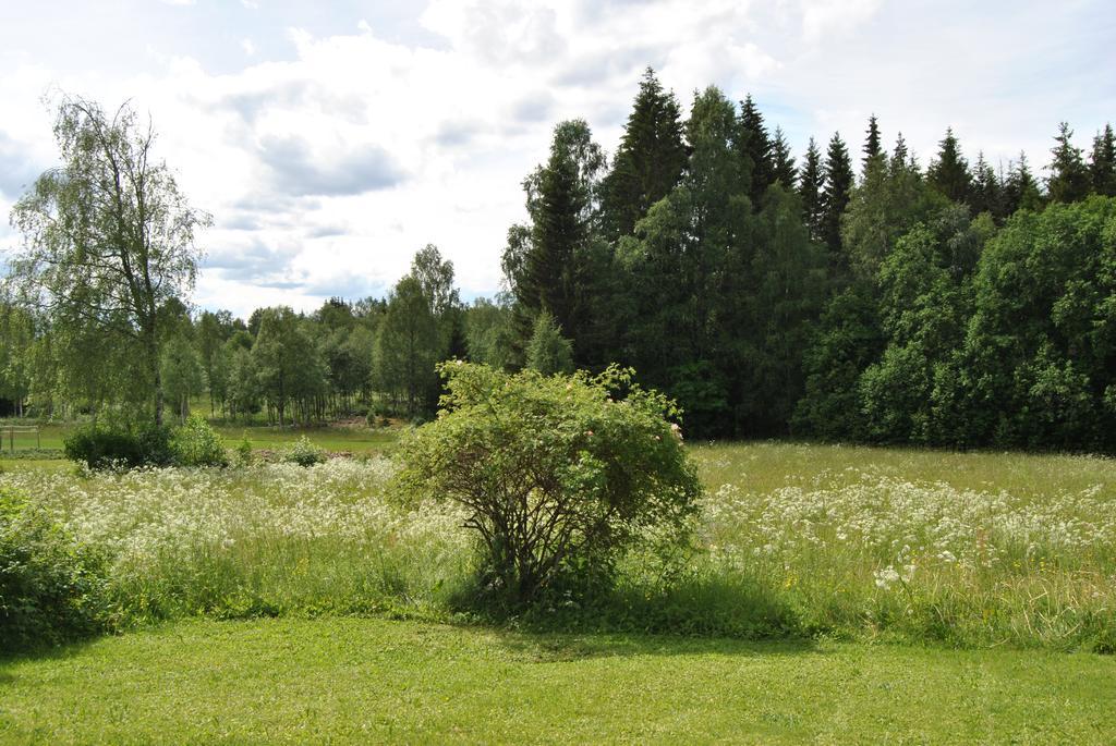 Orsastuguthyrning-Oljonsbyn Villa Bagian luar foto