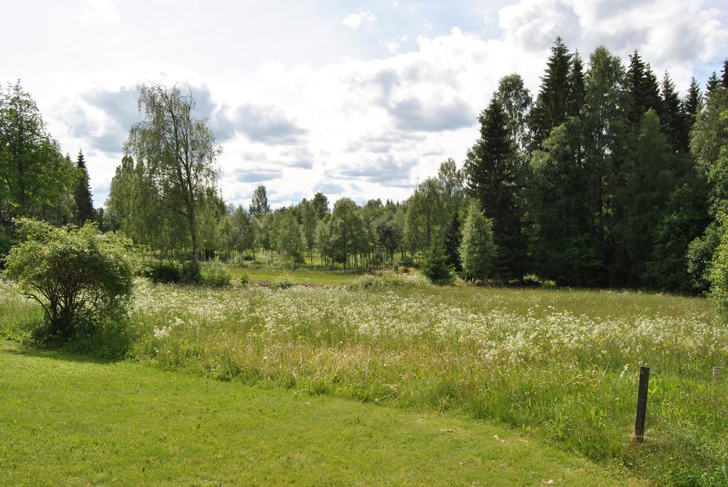 Orsastuguthyrning-Oljonsbyn Villa Bagian luar foto